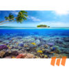Unterwasserwelt Troptisch Insel Palmen
